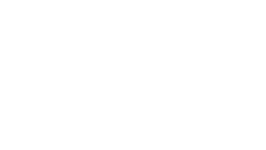 option elite logo